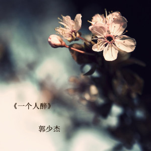 ดาวน์โหลดและฟังเพลง 一个人醉 พร้อมเนื้อเพลงจาก 郭少杰