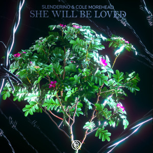 Listen to She Will Be Loved song with lyrics from Slenderino