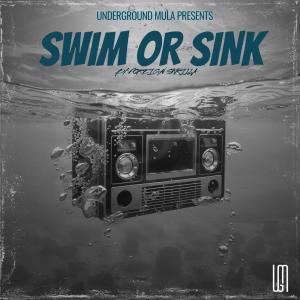 收聽Foreign Skrilla的SWIM OR SINK (Explicit)歌詞歌曲