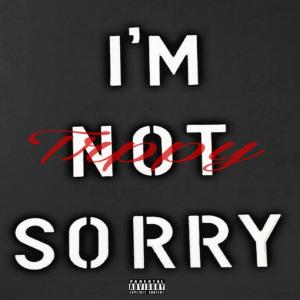 Album I'm Not Sorry (Explicit) from Trppy