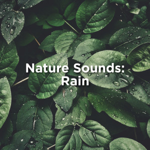 ดาวน์โหลดและฟังเพลง Rain Sounds For Sleeping พร้อมเนื้อเพลงจาก Rain Sounds