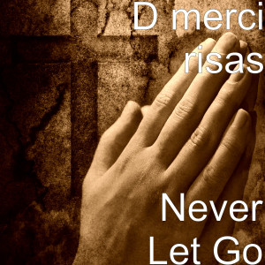 ดาวน์โหลดและฟังเพลง Never Let Go พร้อมเนื้อเพลงจาก D merci risas