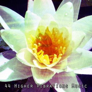 44 Higher Vibrations Music