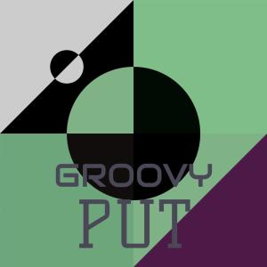 Album Groovy Put from Various