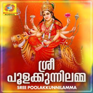 Listen to Acha Acha song with lyrics from Sujithkrishna