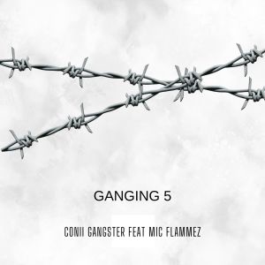 Album Ganging 5 (Explicit) from conii gangster