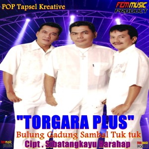 BULUNG GADUNG SAMBAL TUK TUK dari TORGARA PLUS