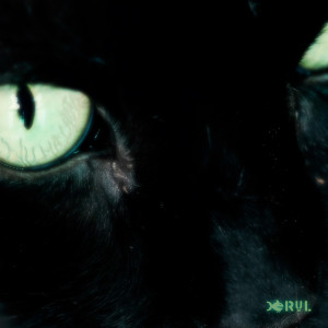 Album Nu ma cauta from 