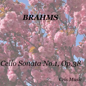 Theo van der Pas的專輯Brahms: Cello Sonata No. 1, Op.38