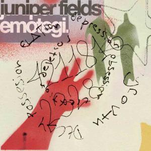 ดาวน์โหลดและฟังเพลง Hide and Seek (feat. Emotegi) (Explicit) พร้อมเนื้อเพลงจาก Juniper Fields