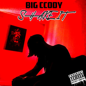 收聽Big CCody的Shake It (Explicit)歌詞歌曲