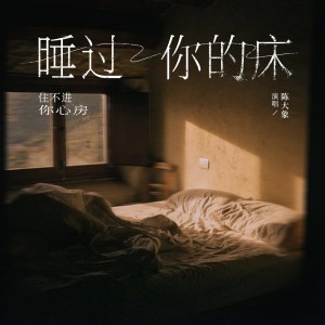 Album 睡过你的床(住不进你心房) oleh 陈大象