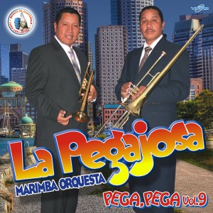 อัลบัม Pega, Pega Vol. 9. Música de Guatemala para los Latinos ศิลปิน Marimba Orquesta La Pegajosa