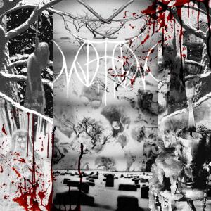 ดาวน์โหลดและฟังเพลง The Tides That Wash over My Rotting Body, so Quiet and Chaotic พร้อมเนื้อเพลงจาก Mjerim