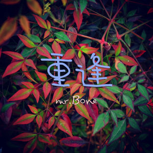 收聽阿骨的重逢歌詞歌曲