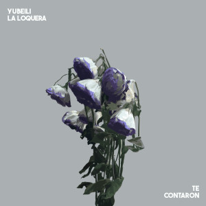 อัลบัม Te Contaron ศิลปิน Yubeili