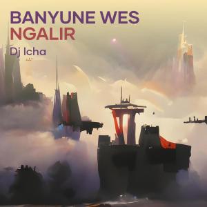 Banyune Wes Ngalir