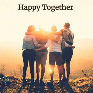 收聽The Ventures的Happy Together歌詞歌曲