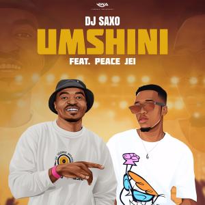 DJ Saxo的專輯Umshini