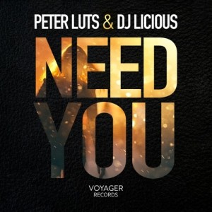 Listen to Need You (Extended Mix) song with lyrics from Peter Luts