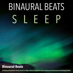 Listen to Binaural Beats (Sleep) song with lyrics from Binaural Beats Sleep