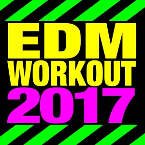 DJ ReMix Workout的專輯EDM 2017 Workout