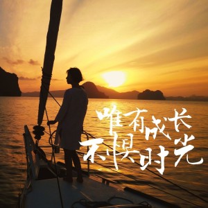 Listen to 后会无期 (cover: G.E.M. 邓紫棋) (完整版) song with lyrics from Cinty
