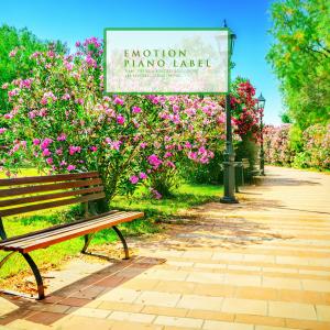 Listen to Like Fragrant Sunshine song with lyrics from Yesica