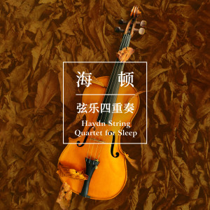 Allegro String Ensemble的專輯Haydn String Quartet for Sleep