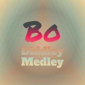 Listen to Bo Diddley Medley song with lyrics from LADY BO