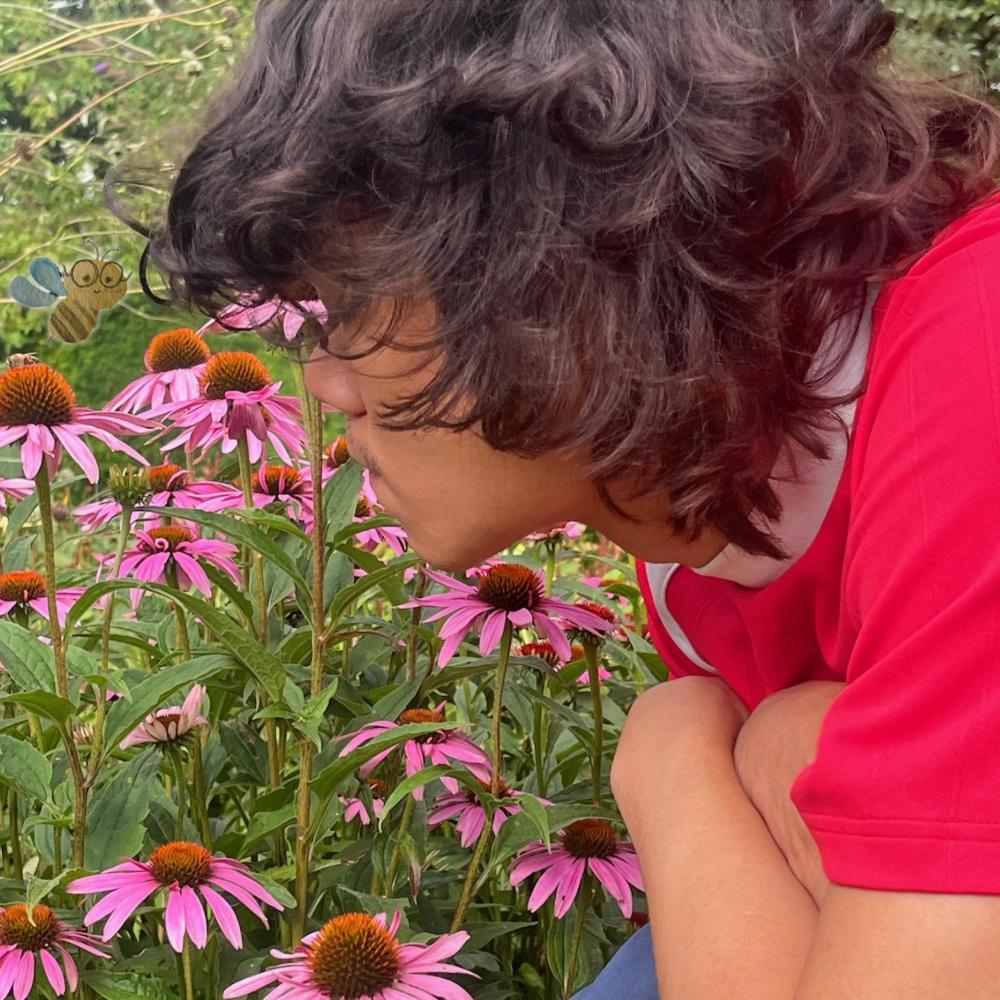 nectar and the bee!