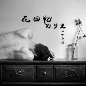 收听徐子洋的在回忆的梦里歌词歌曲