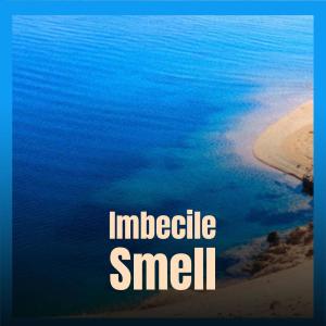 Album Imbecile Smell from 