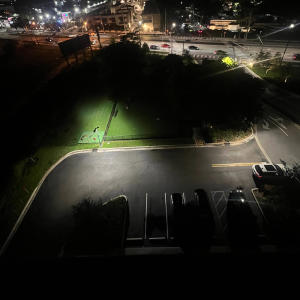 slowdownron的專輯Language Fast (feat. Iluvbani) [Explicit]