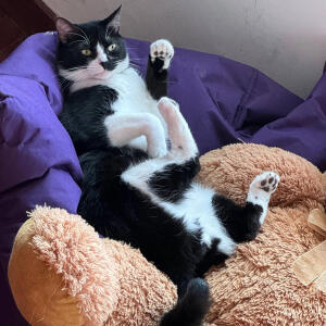 default playlist img