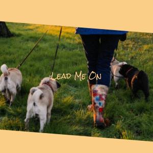 Dengarkan lagu West Virginia Gals nyanyian Daddy Stovepipe dengan lirik