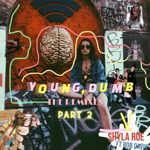 Album Young Dumb (The Remixes, Pt. 2) from 