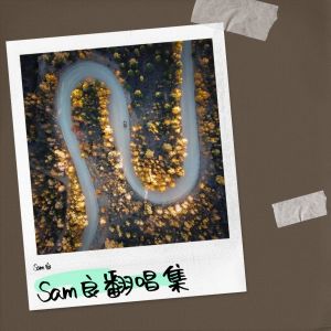 收聽Sam良的心酸的情歌 (cover: 巫啓賢) (完整版)歌詞歌曲