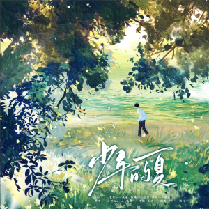 Album 少年的夏 from 