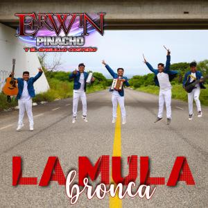 Album La Mula Bronca from Erwin Pinacho Y El Orgullo Costeno