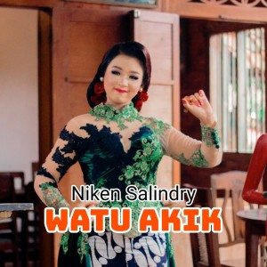 Niken Salindry的专辑Watu Akik