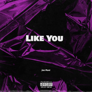 Listen to Like You(Explicit) song with lyrics from Joa Mont