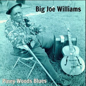 Album Piney Woods Blues from Big Joe Williams