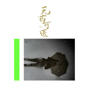 Listen to 无药可医 song with lyrics from rio红