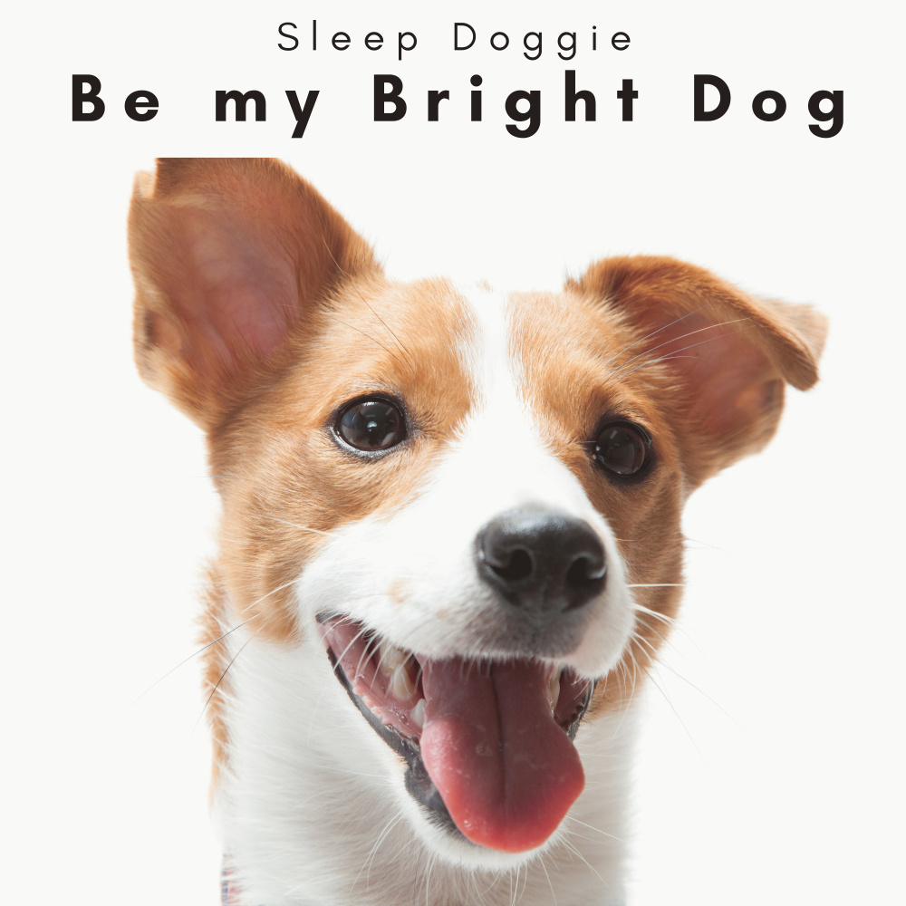Stay my Beloved Pup