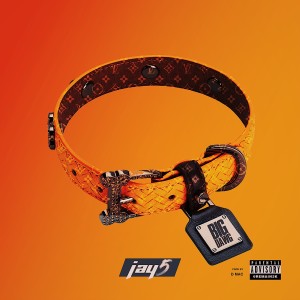 ดาวน์โหลดและฟังเพลง Big Dawg (Explicit) พร้อมเนื้อเพลงจาก Jay5