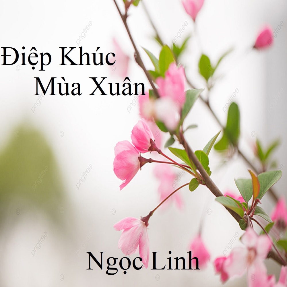 Điệp Khúc Mùa Xuân 1