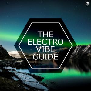 Album The Electro Vibe Guide from Various