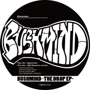 收聽BUSHMIND的Opportunity歌詞歌曲