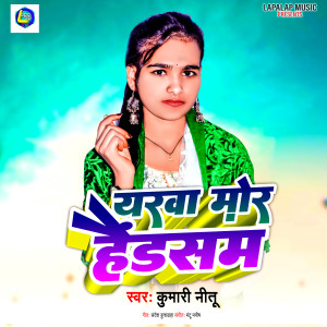 Listen to Yarwa Mor Handsome song with lyrics from Kumari Nitu